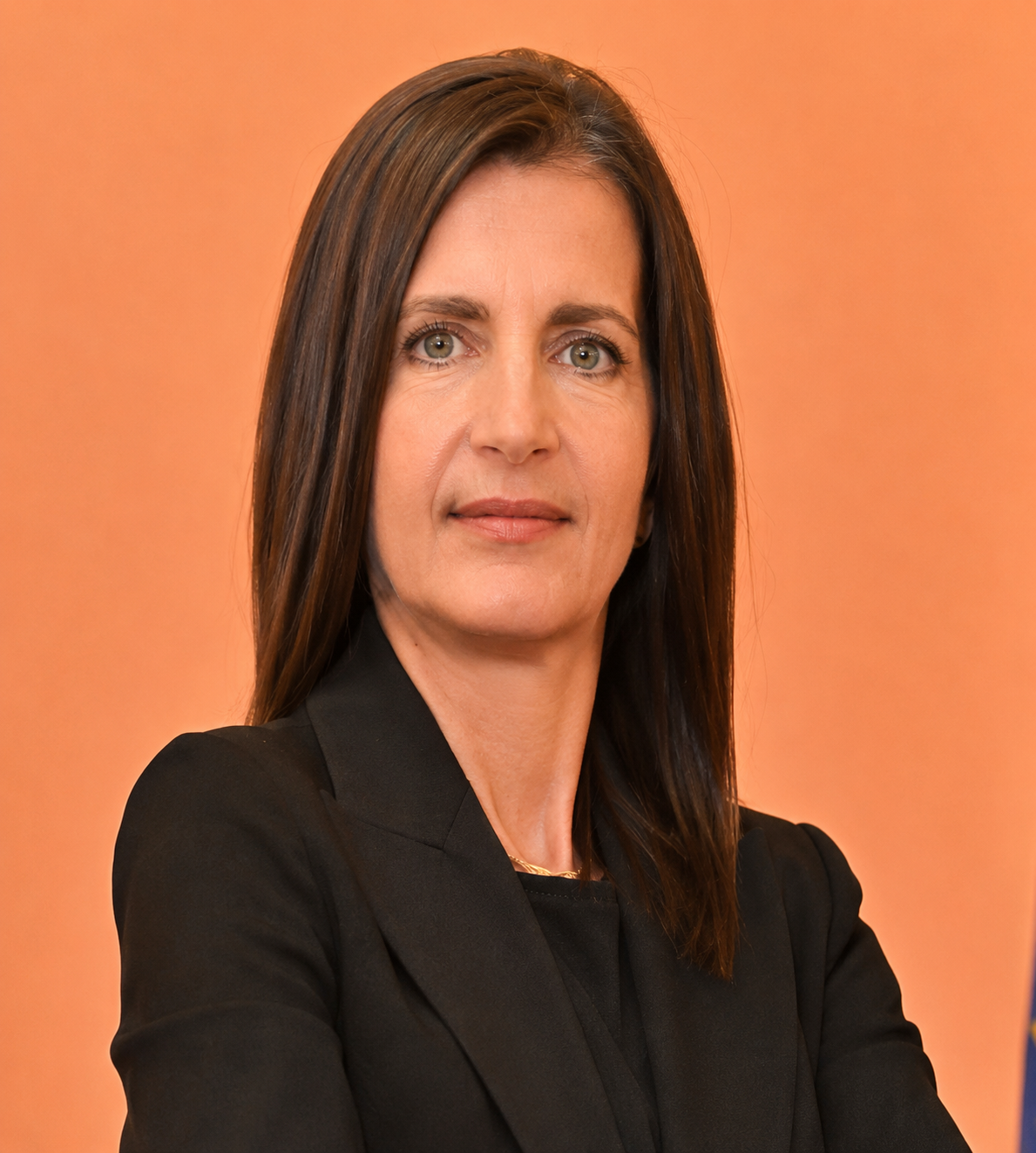 Team Prof. Dr Valentina Gecevska